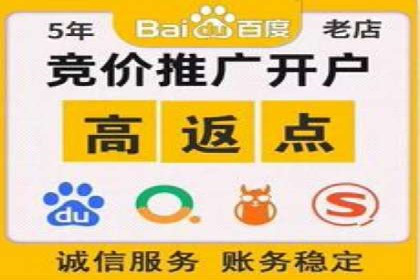 推广竞价策略优化：借鉴成功案例实现高效转化